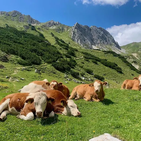 Διαμέρισμα Wetterstein Έρβαλντ