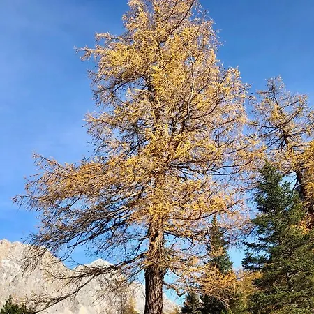 Wetterstein 에르발트