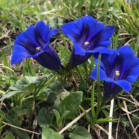 Διαμέρισμα Wetterstein *