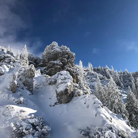 Διαμέρισμα Wetterstein *
