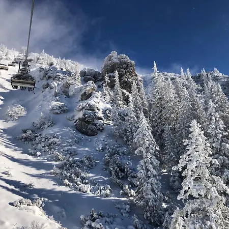 Das Wetterstein * Ehrwald
