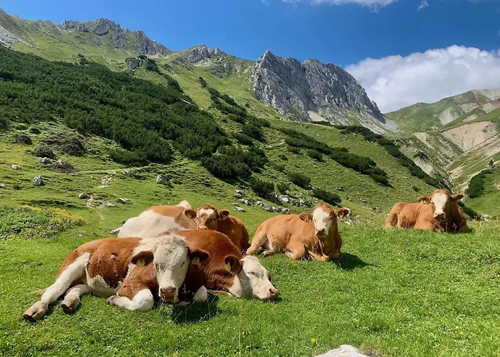 Apartment Wetterstein Ehrwald