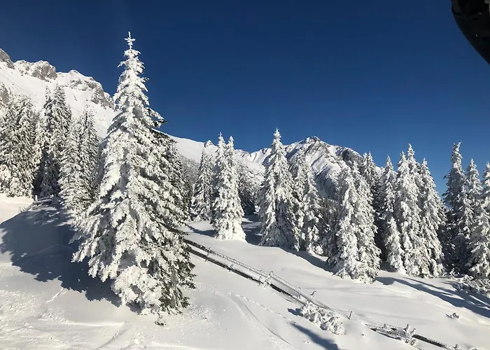 Lejlighed Wetterstein Ehrwald