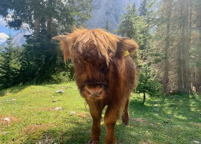 Wetterstein Apartment Ehrwald