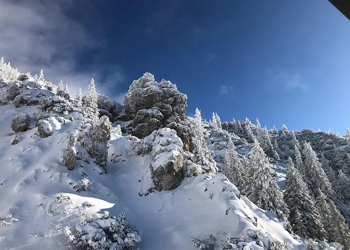 Apartment Wetterstein *