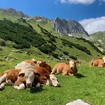 Apartamento Wetterstein Ehrwald