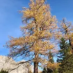 Wetterstein Ehrwald