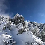 Apartamento Wetterstein *