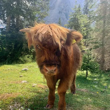 Wetterstein アパート エールヴァルト